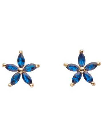 U.S. Polo Assn. 3-delige set: vergulde oorringen met kristallen