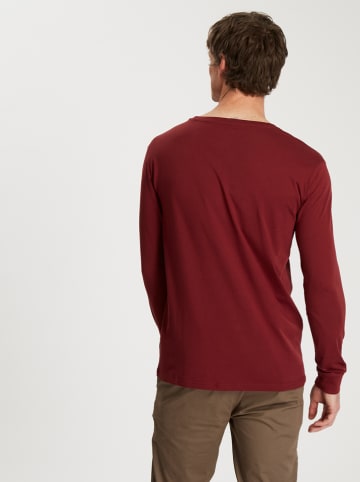 Cross Jeans Koszulka w kolorze bordowym