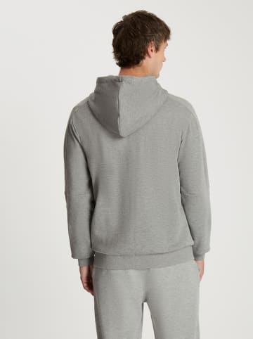 Cross Jeans Sweatjacke in Grau
