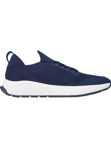 Tommy Hilfiger Shoes Sneakers in Dunkelblau