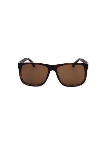Guess Herren-Sonnenbrille in Braun