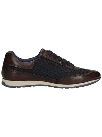Bugatti Leder-Sneakers in Braun
