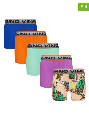 Vingino 5er-Set: Boxershorts in Bunt