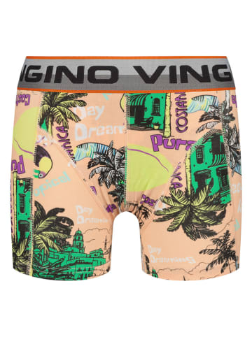 Vingino 5er-Set: Boxershorts in Bunt
