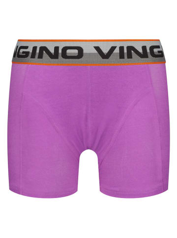 Vingino 5er-Set: Boxershorts in Bunt
