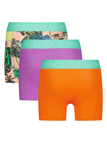Vingino 3er-Set: Boxershorts in Bunt