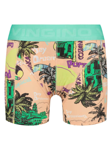 Vingino 3er-Set: Boxershorts in Bunt