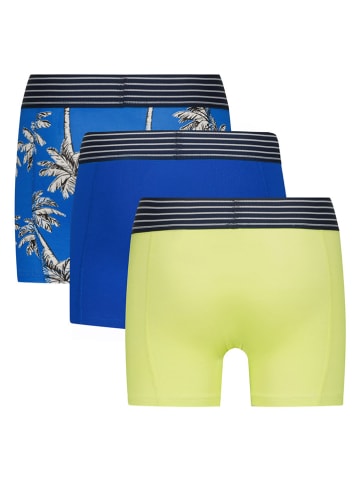 Vingino 3er-Set: Boxershorts in Blau/ Gelb