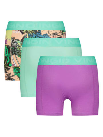 Vingino 3er-Set: Boxershorts in Bunt