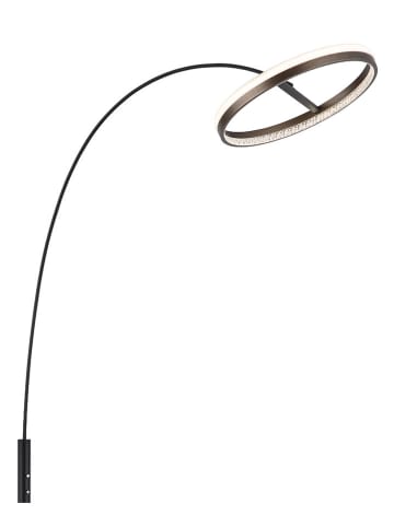 Globo lighting LED-Standleuchte "Della" in Schwarz - (H)190,4 cm
