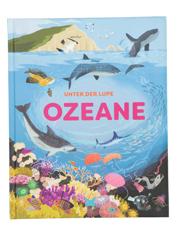 Laurence King Verlag Sachbuch "Unter der Lupe: Ozeane"
