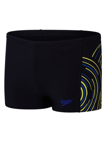 Speedo Kąpielówki "Aquashorts" w kolorze czarno-żółto-niebieskim