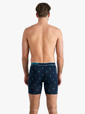 Happy Shorts 2-delige set: boxershorts donkerblauw/turquoise