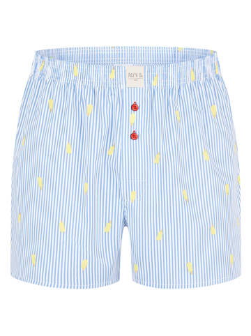 Phil & Co. Berlin 6er-Set: Boxershorts in Bunt