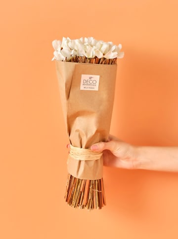 BELLA MAISON Bukiet suszonych kwiatów "Daisy Dal" w kolorze białym - wys. 35 cm