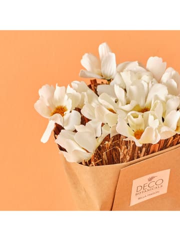 BELLA MAISON Bukiet suszonych kwiatów "Daisy Dal" w kolorze białym - wys. 35 cm