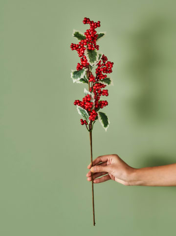 BELLA MAISON Kunstpflanze "Dalia Christmas" in Rot - (H)60 cm