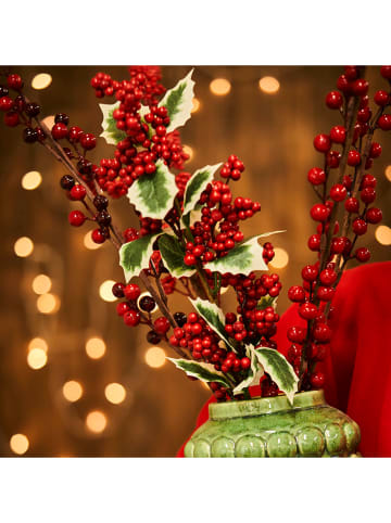 BELLA MAISON Kunstpflanze "Dalia Christmas" in Rot - (H)60 cm