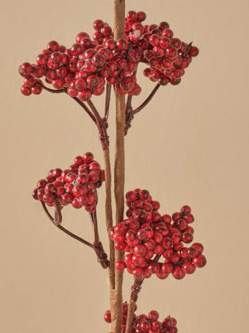 BELLA MAISON Trockenpflanze "Christmas Dal" in Rot - (H)75 cm