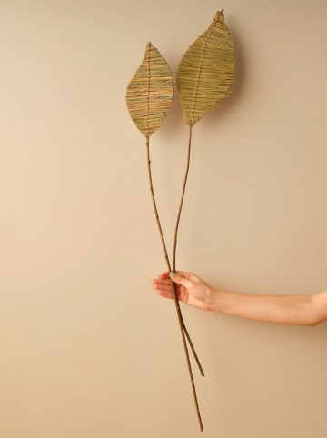 BELLA MAISON Trockenpflanze "Mulberry" in Beige - (H)100 cm