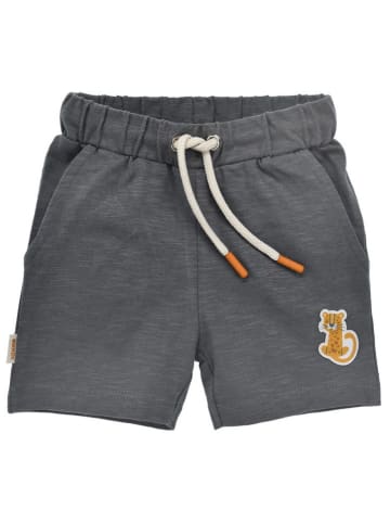Bondi Shorts 'Tiger' in Anthrazit