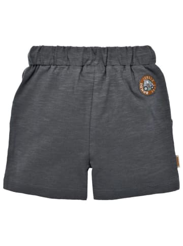 Bondi Shorts 'Tiger' in Anthrazit