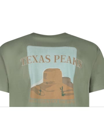 Cars Shirt "Monta" groen