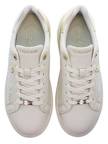 U.S. Polo Sneakers "Asuka" in Beige