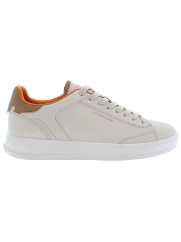 U.S. Polo Assn. Sneakers in Beige