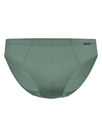 Ammann Slip in Grün