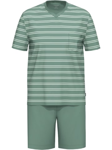 Ammann Pyjama in Grün