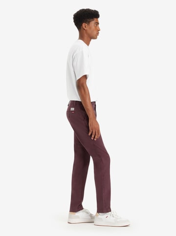 Levi's Chinobroek paars