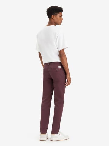 Levi's Chino in Lila