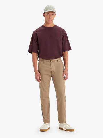 Levi's Chino in Hellbraun