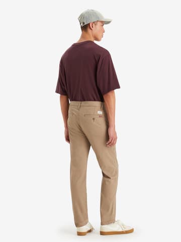 Levi's Chino in Hellbraun