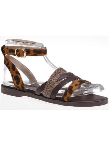 C'M Sandalen in Hellbraun