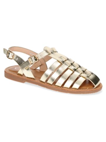 C'M Halbsandalen in Gold