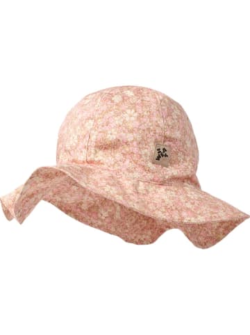 Wheat Sonnenhut "Daisy" in Rosa