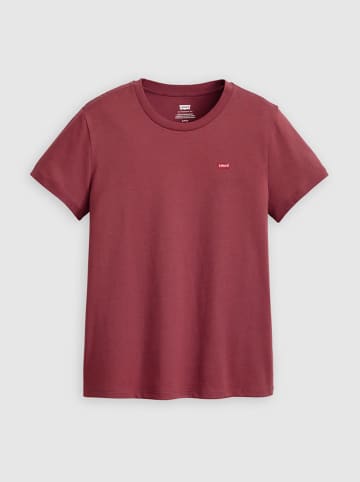Levi's 2er-Set: Shirts in Bordeaux/ Weiß