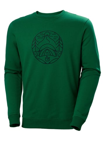 Helly Hansen Sweatshirt in Grün