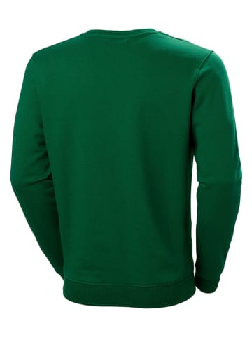 Helly Hansen Sweatshirt in Grün