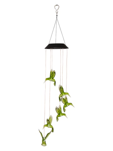 STAR Trading Ledsolardecoratie "Kolibri" groen - (B)12,5 x (H)70 cm