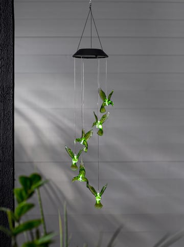 STAR Trading Ledsolardecoratie "Kolibri" groen - (B)12,5 x (H)70 cm