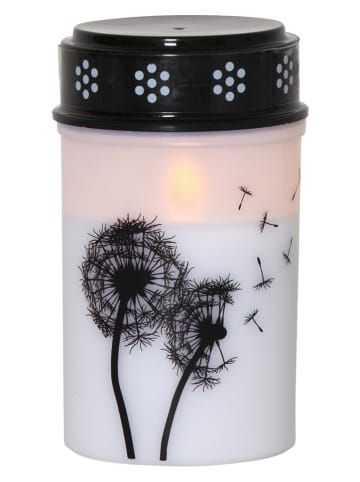 STAR Trading Znicz LED "Dandelion" w kolorze białym