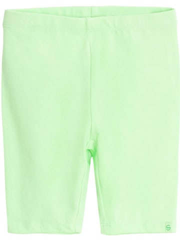COOL CLUB Legging groen