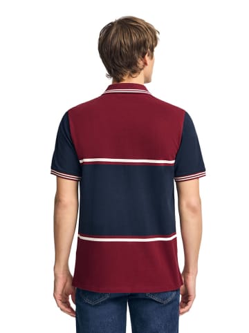 Polo Club Poloshirt in Bordeaux/ Dunkelblau
