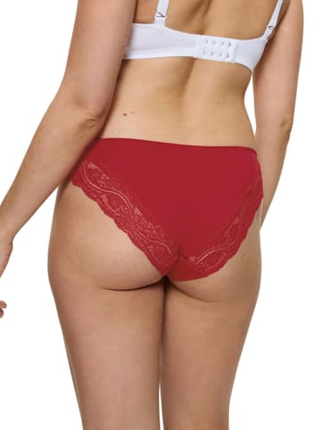 Triumph Slip rood