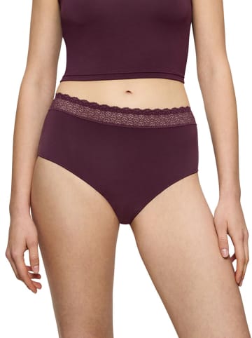 Triumph Taillehipster bordeaux