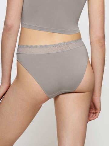Triumph Figi w kolorze szarym