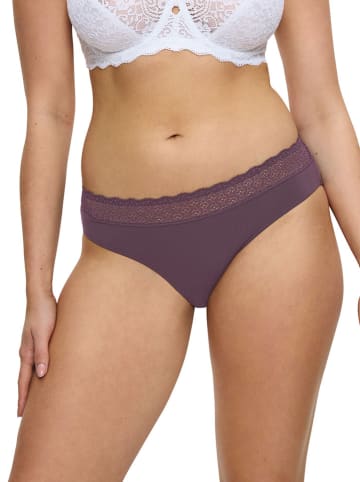 Triumph Figi w kolorze ciemnofioletowym